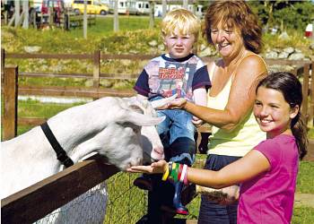 Meadow Lakes Holiday Park