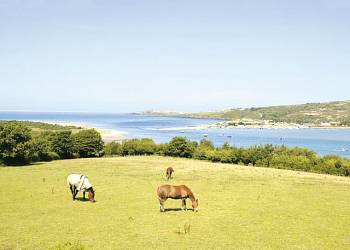 Cardigan Bay Holiday Park