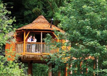 Sherwood Forest Lodges, Sherwood Forest,,England