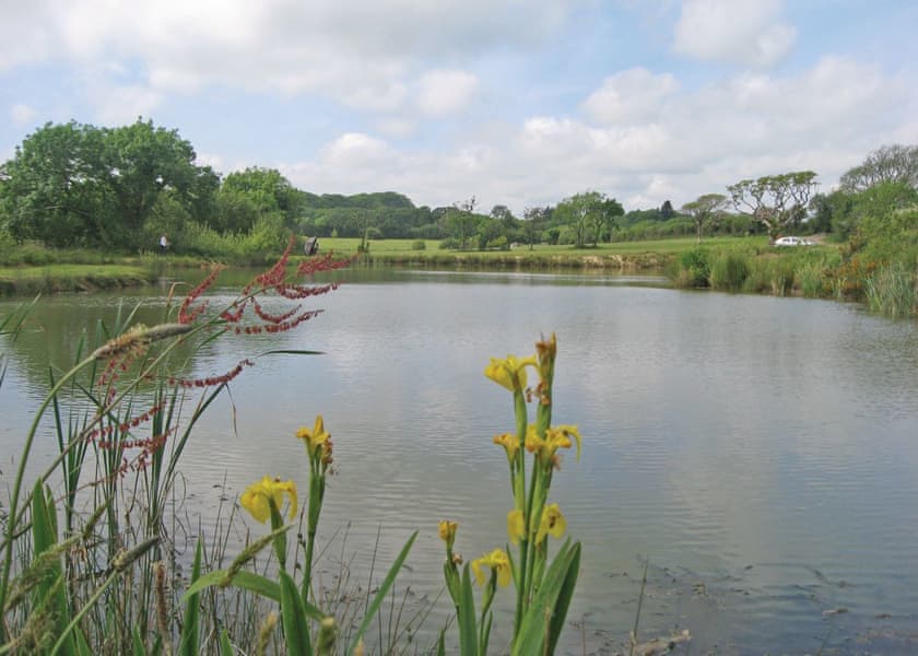Florence Springs Glamping, Tenby,,Wales