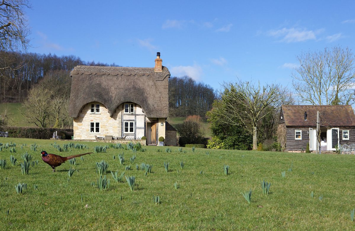 Click here for more about Field Cottage