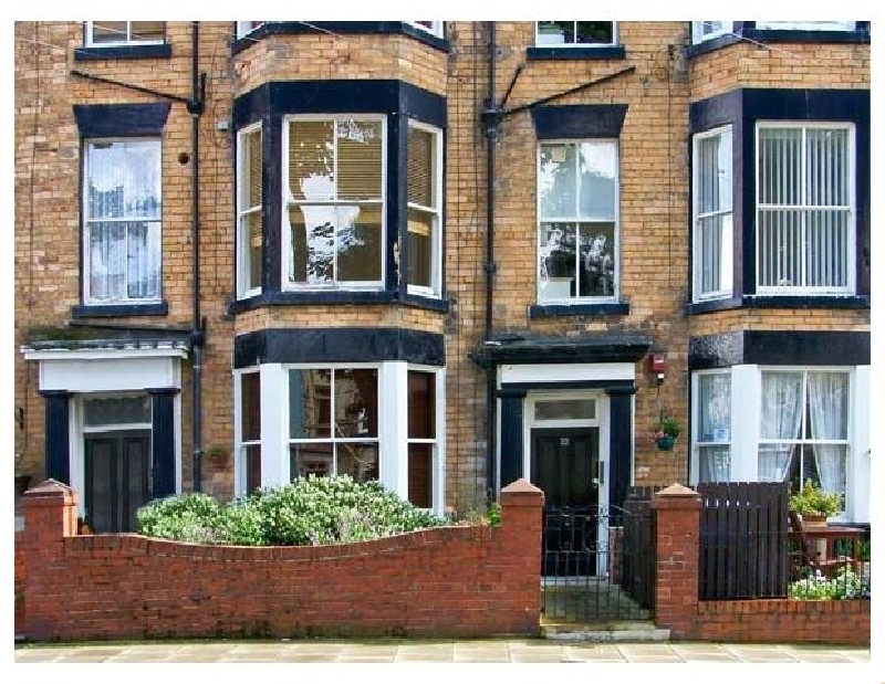 Click here for more about Tree Tops