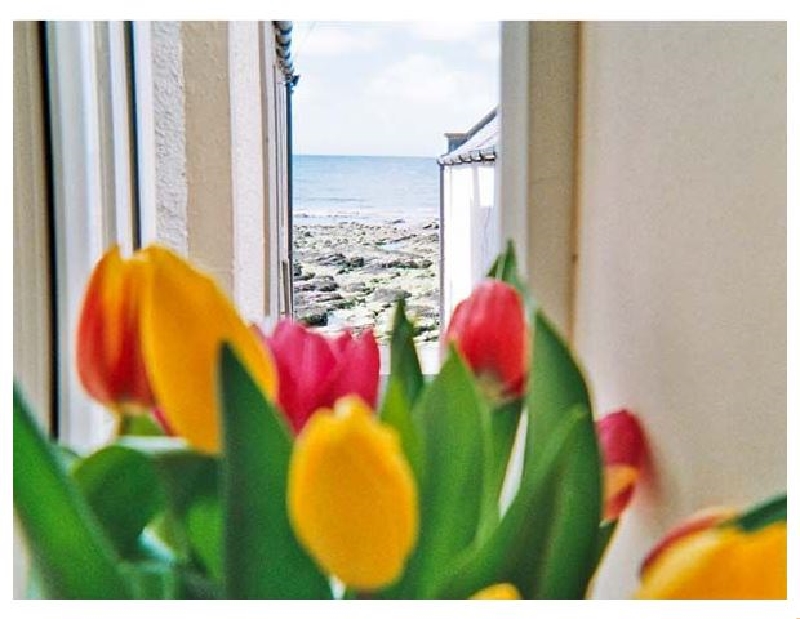 Ellie-Ann Cottage a british holiday cottage for 4 in ,