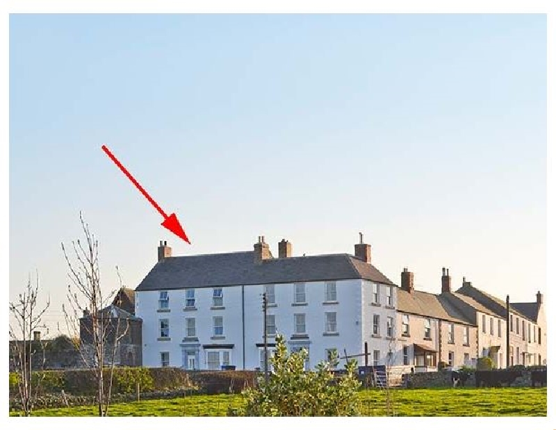 Click here for more about The Lookout