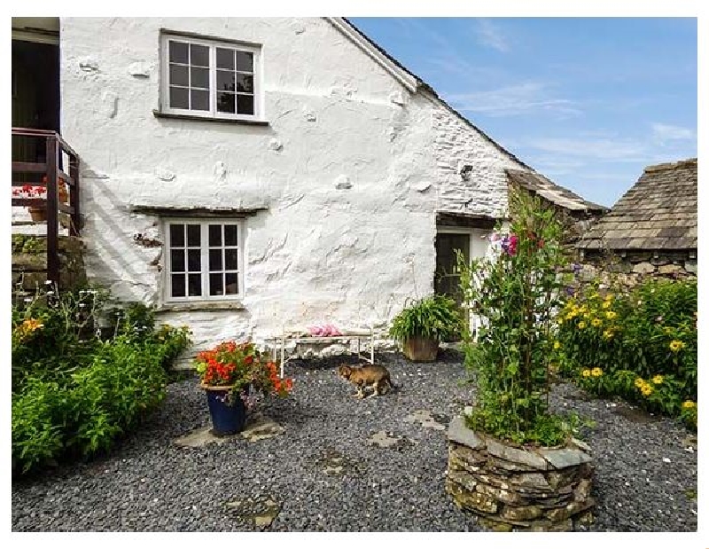 Click here for more about The Shippen