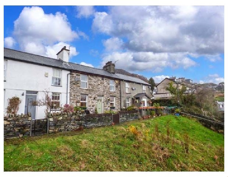 Click here for more about Y Ddraig Deg