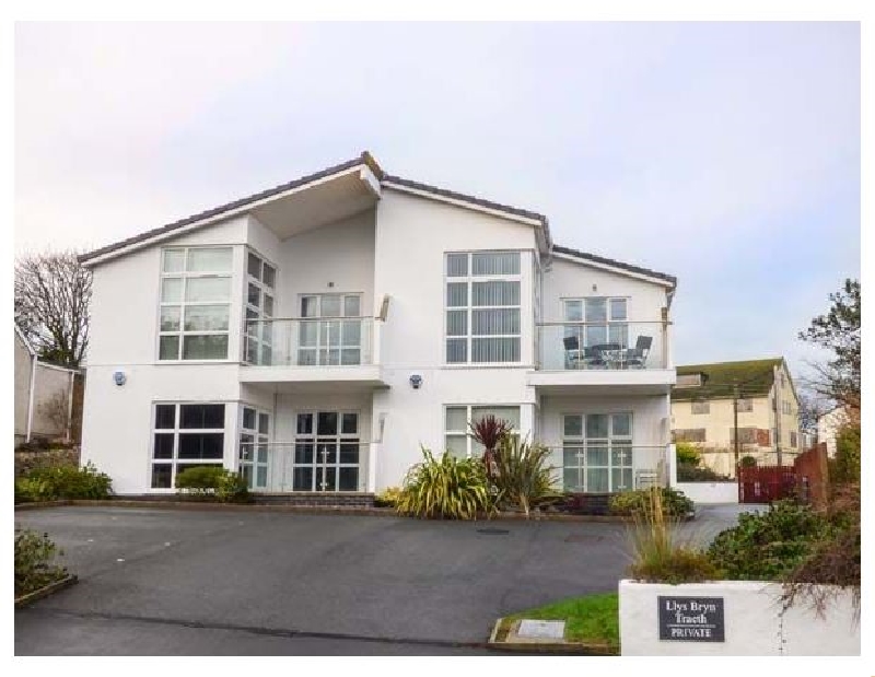 Click here for more about The Shuggies