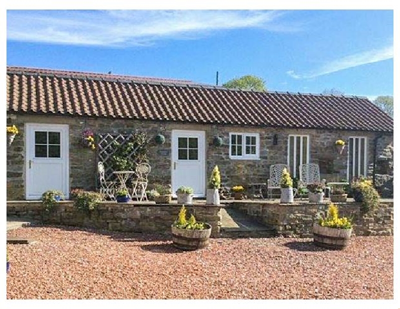 Click here for more about Norah's Nook