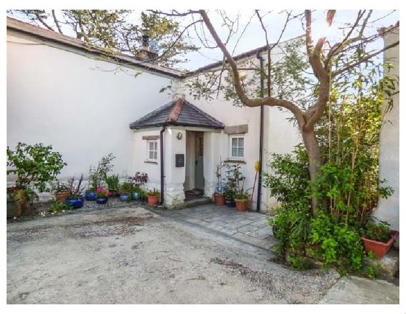 Click here for more about Swallows Flight