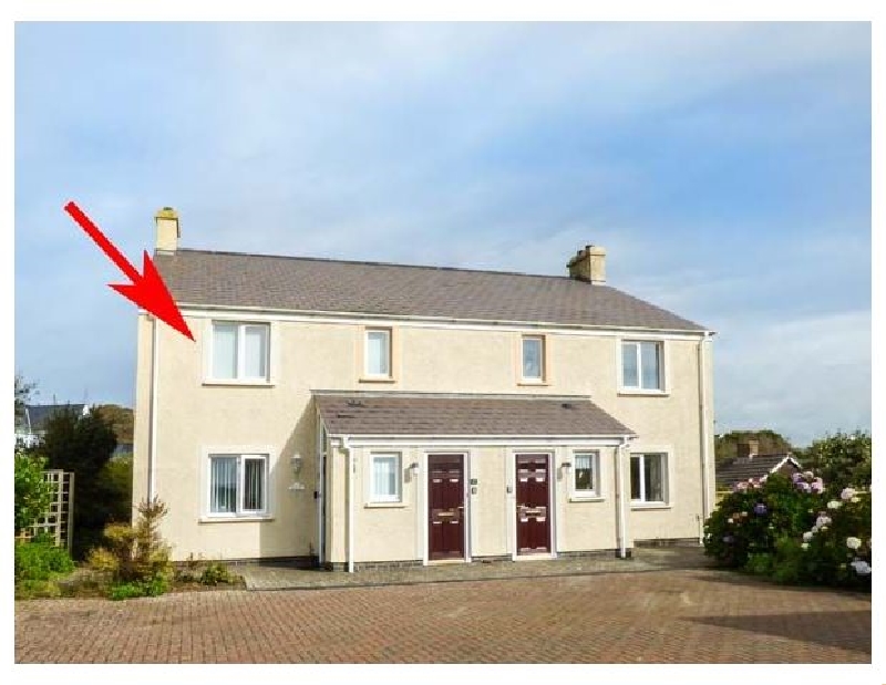 Click here for more about Kittiwake