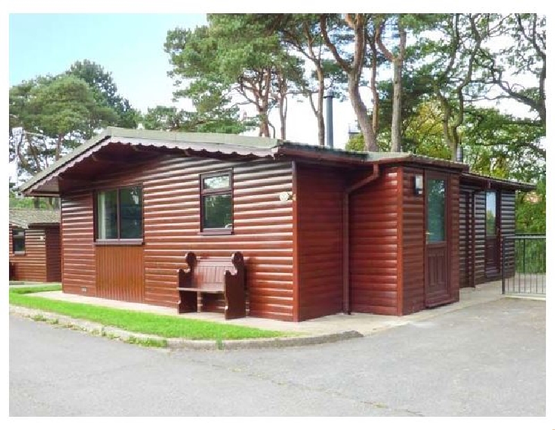 Click here for more about Snowdrop