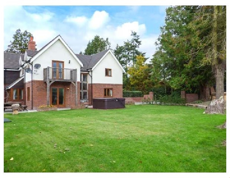 Click here for more about Shady Hollow