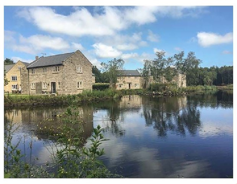 Click here for more about Wensley