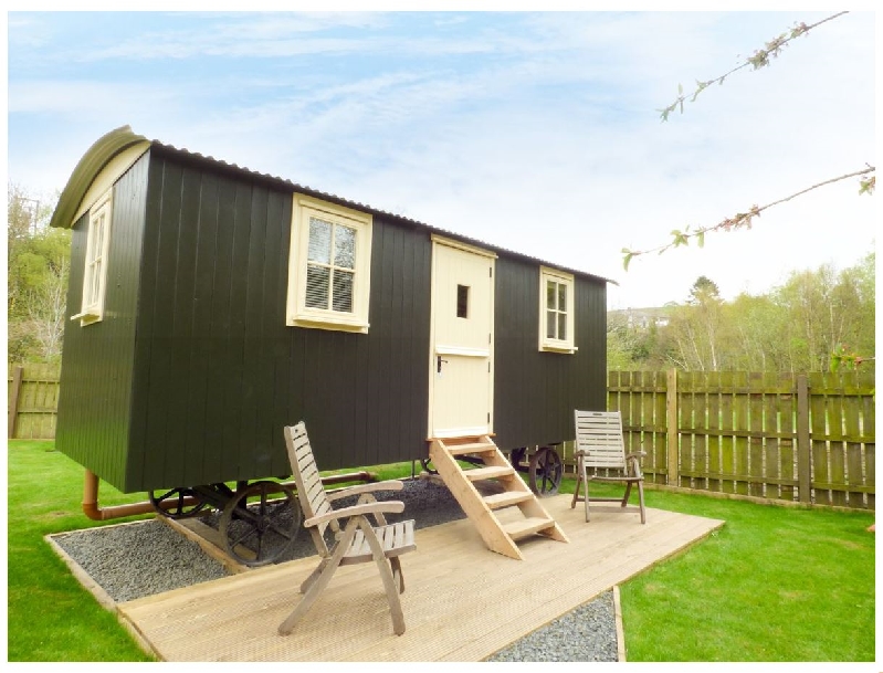 Click here for more about Joseph's Hide