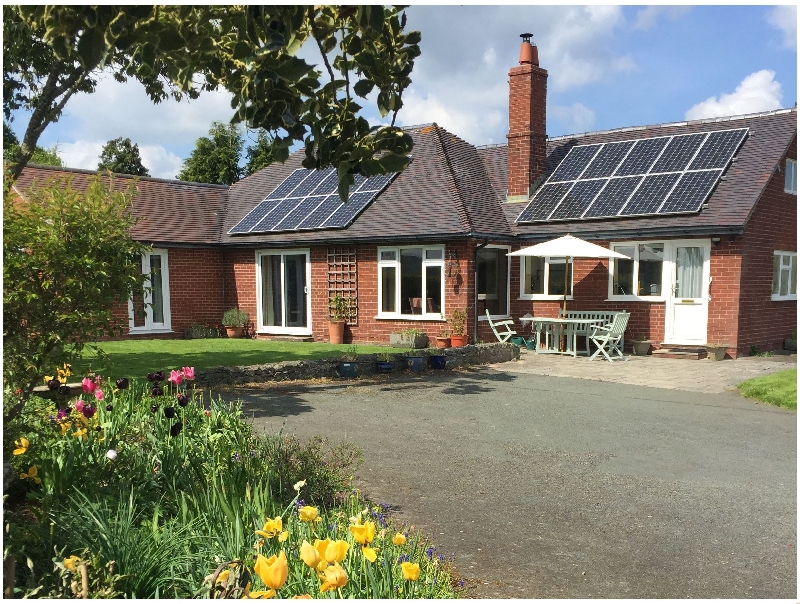 Click here for more about Bryn Caer