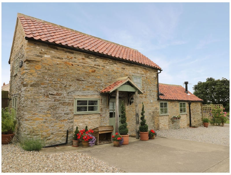 Click here for more about Hobbits