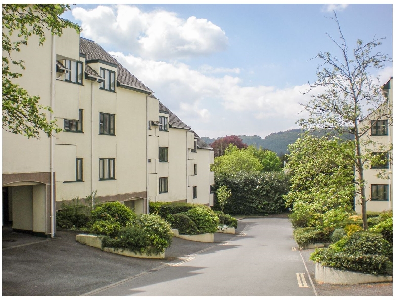 Click here for more about Aucuba