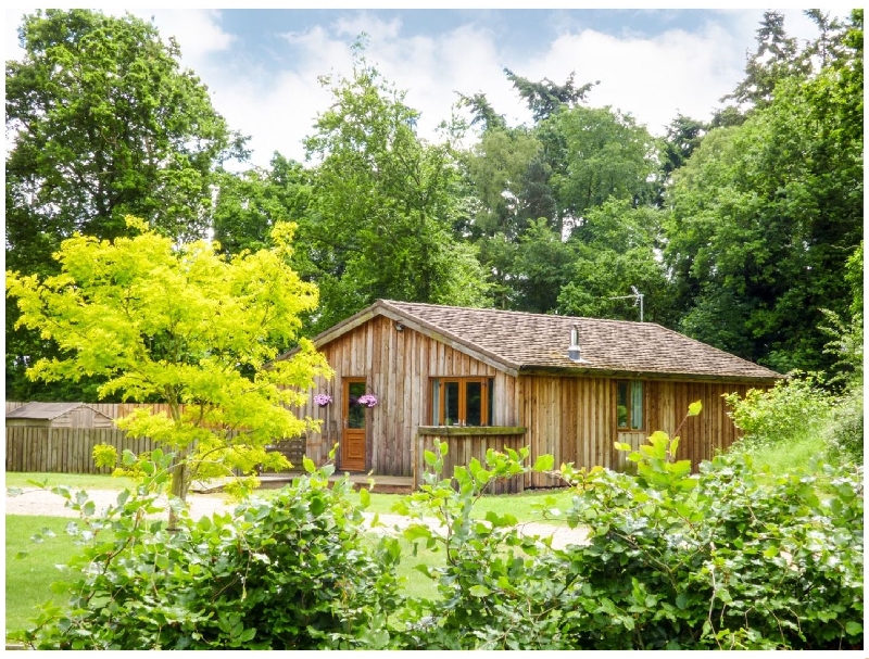 Click here for more about Meadow View
