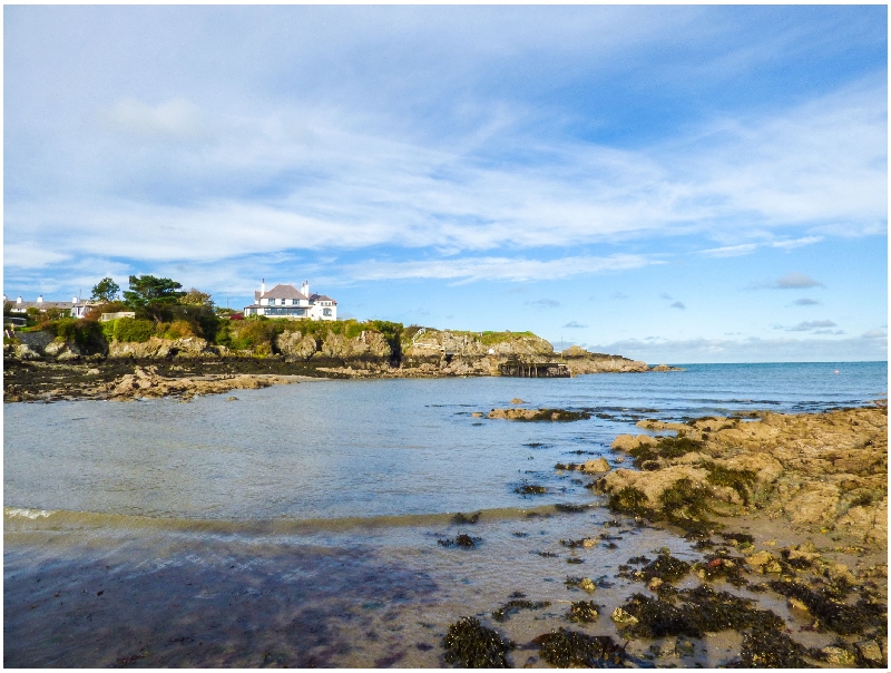 Click here for more about Angorfa