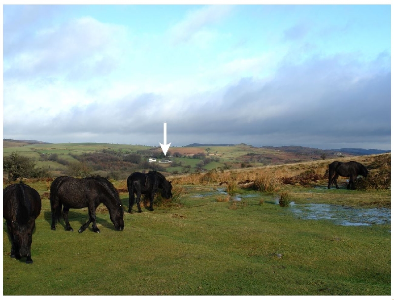 Hay Tor Cottage a british holiday cottage for 6 in ,
