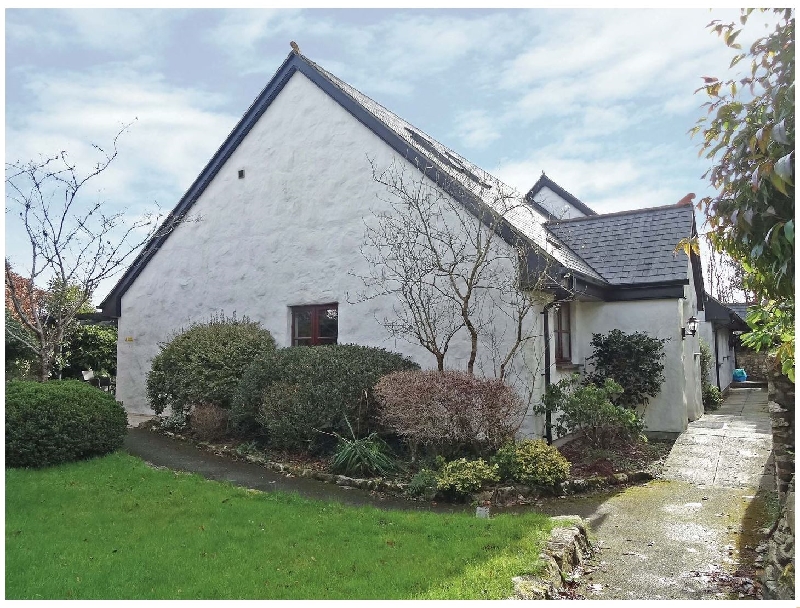 Click here for more about Azalea