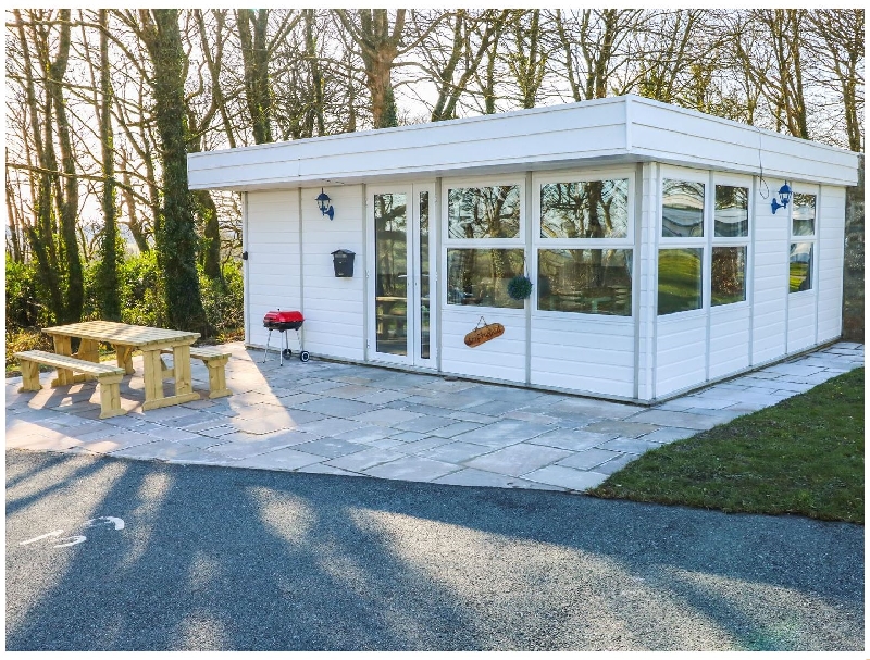 Click here for more about Driftwood