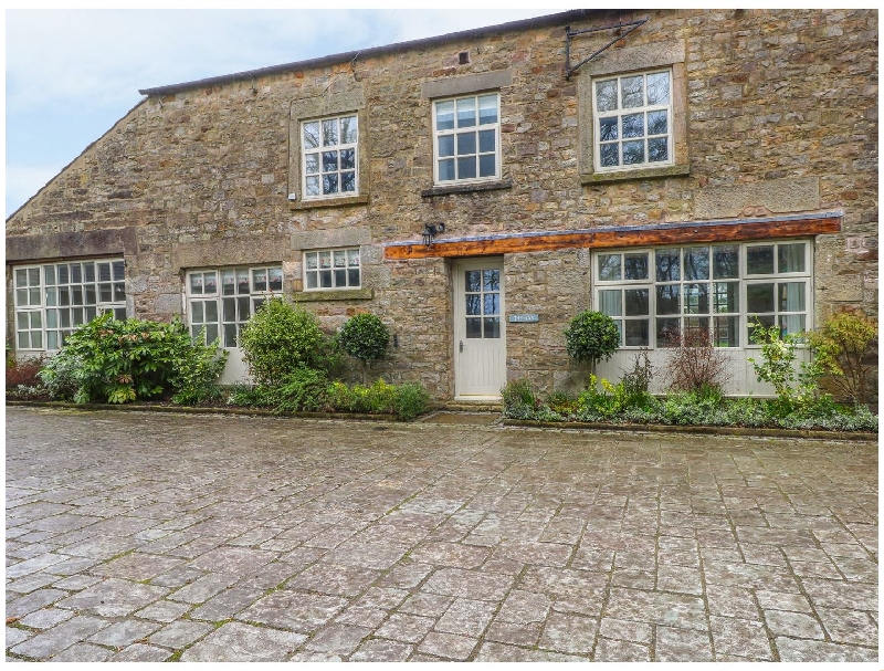 Click here for more about Elsa