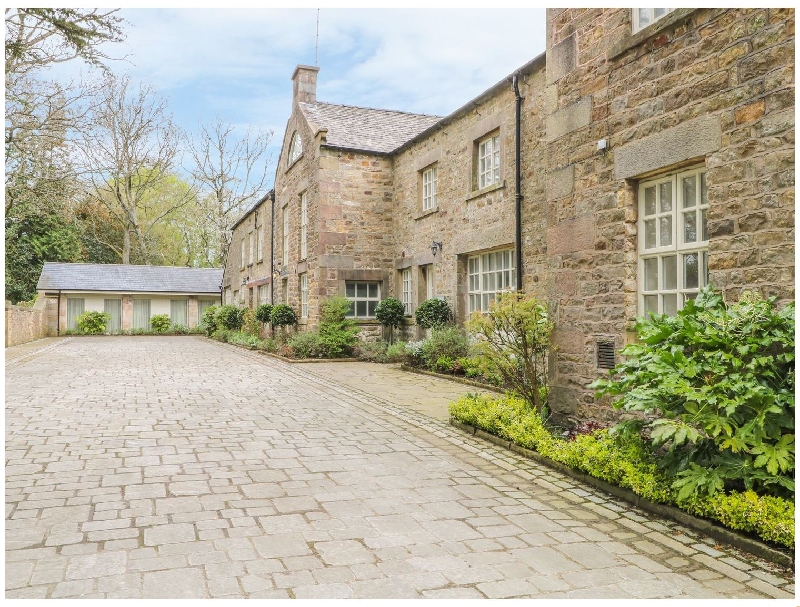 Click here for more about Bilbo