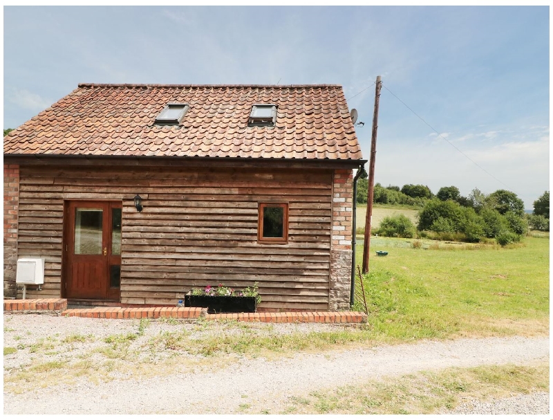 Click here for more about Mallard