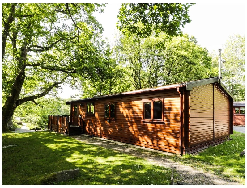 Click here for more about River Lodge