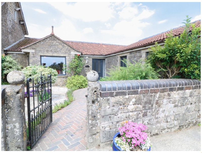 Click here for more about Leigh Holt