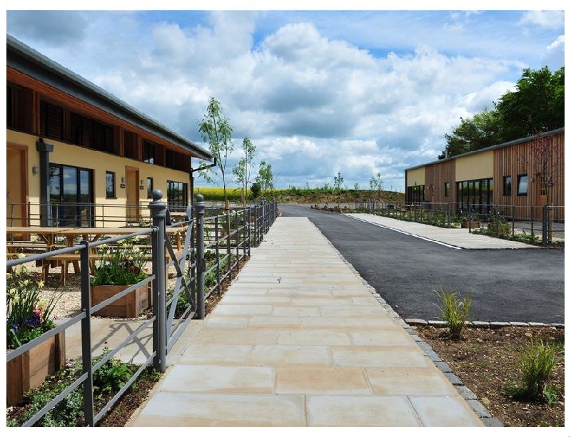 Click here for more about Wainway