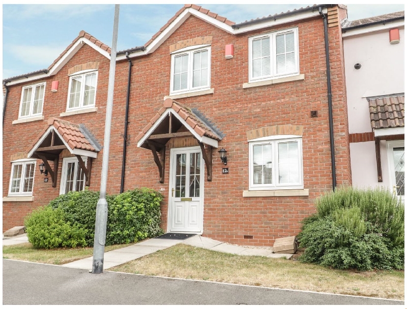 Click here for more about Dragonfly