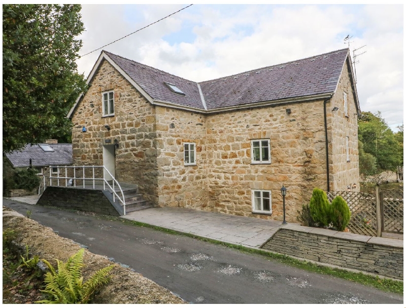 Click here for more about Felin