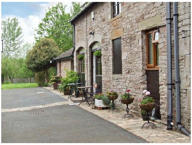Click here for more about Stargazer's Field House