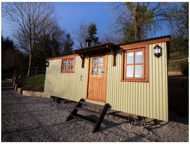 Click here for more about Little Silver Leaf