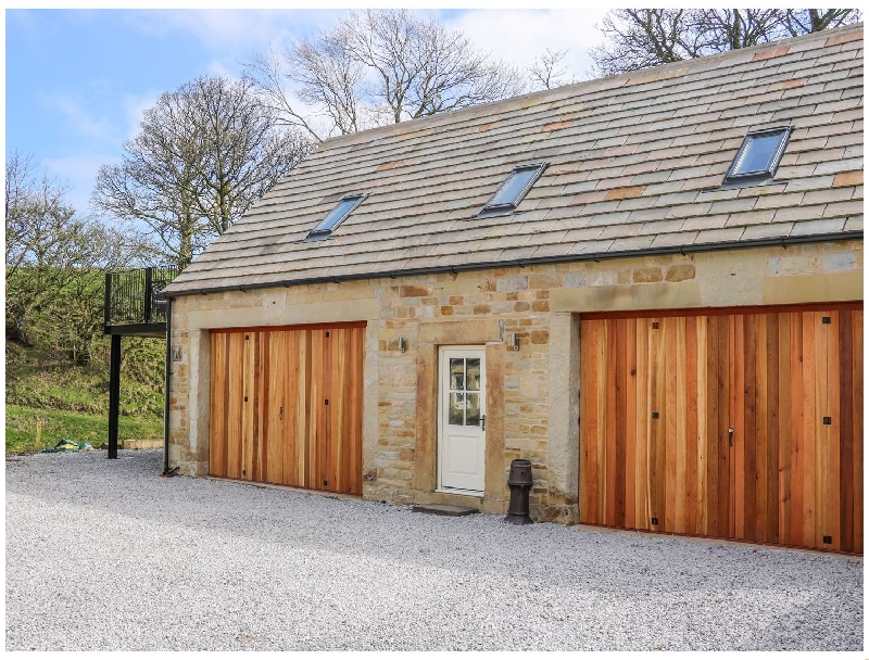 Click here for more about Squirrels Leap