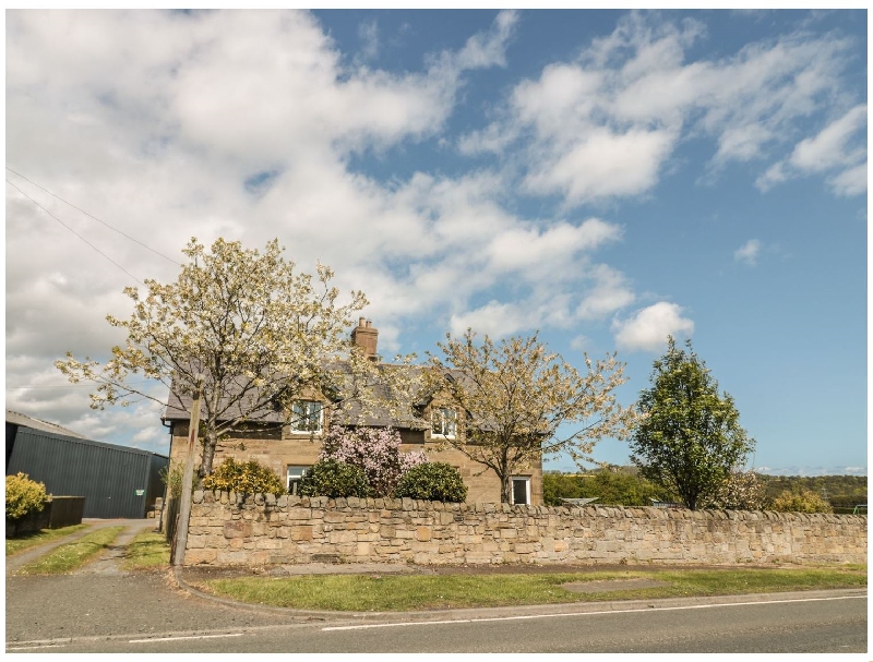 Click here for more about Baytree