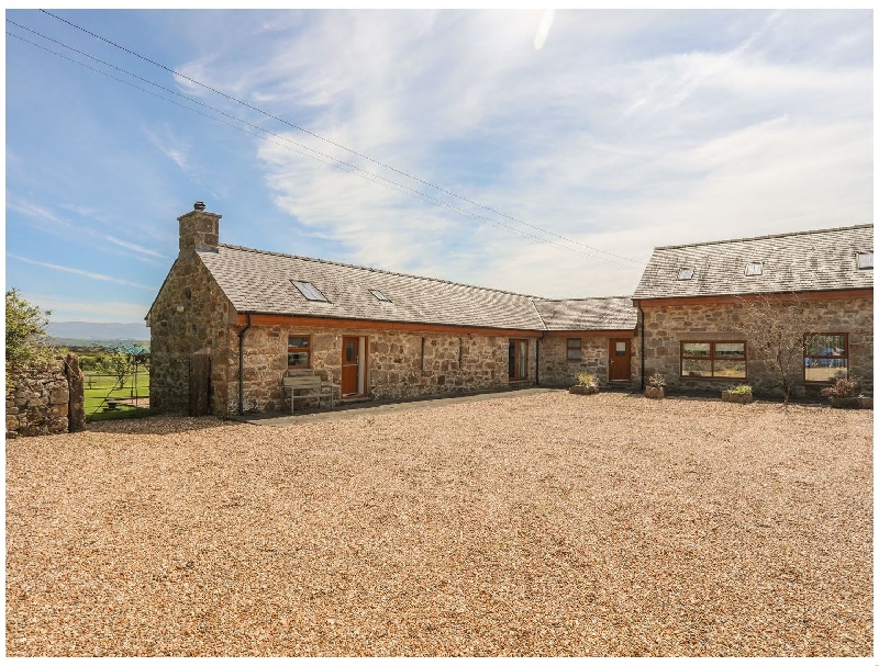 Click here for more about Barn Owl