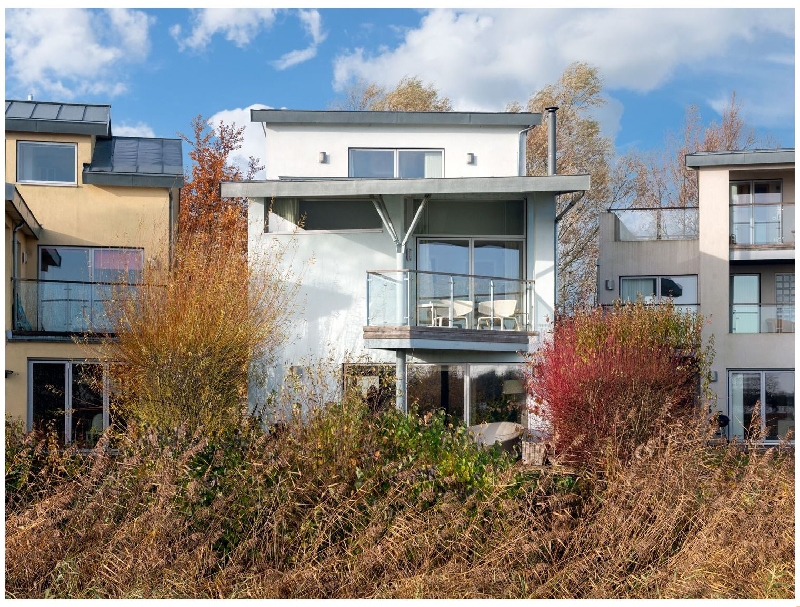 Click here for more about Siskin