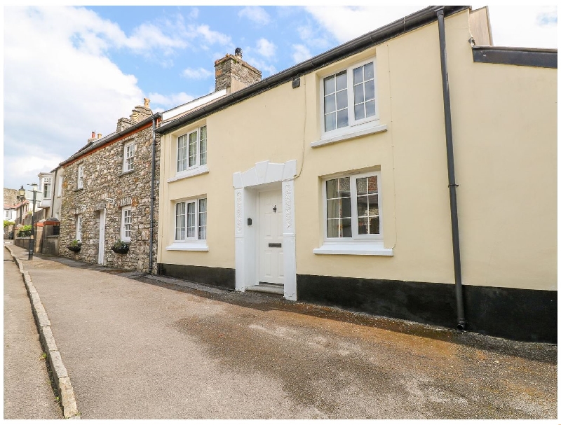 Click here for more about Annwyl Fan