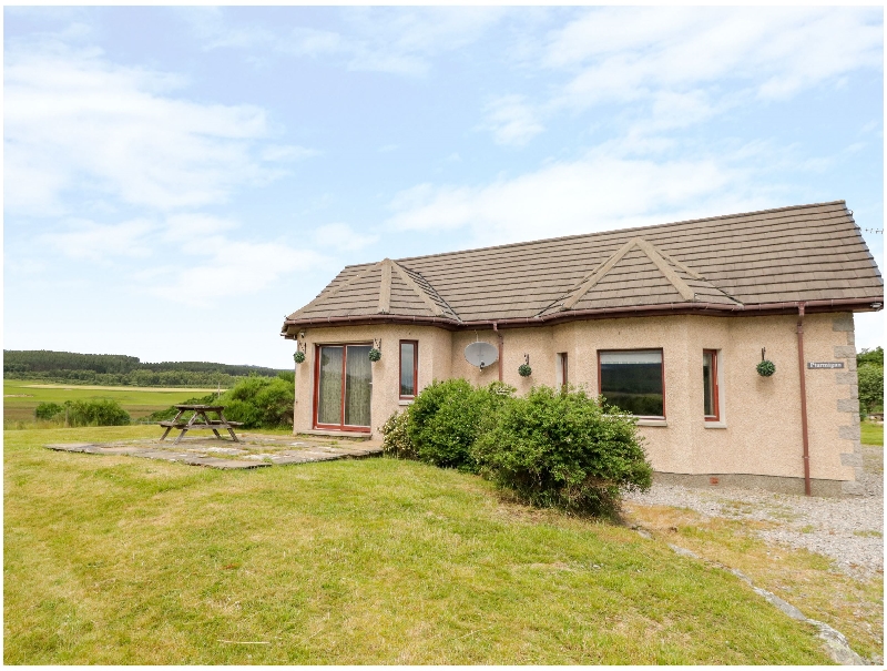 Click here for more about Ptarmigan