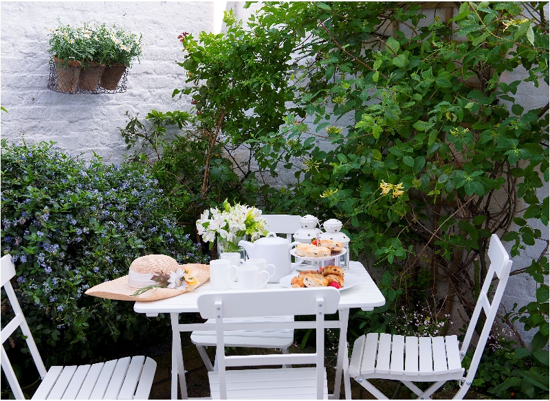 Click here for more about Albany Apartment