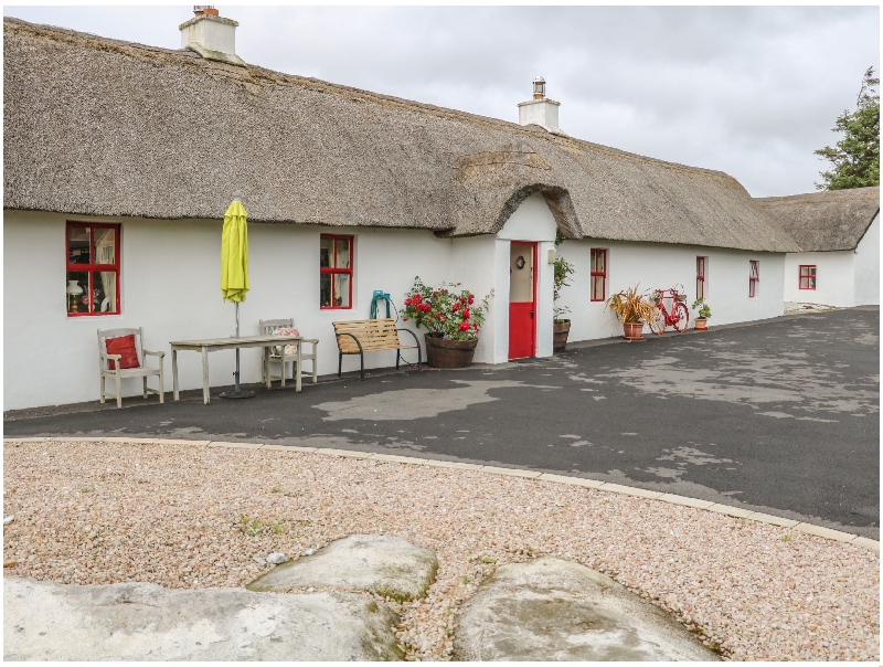 Click here for more about Fan Tamaill