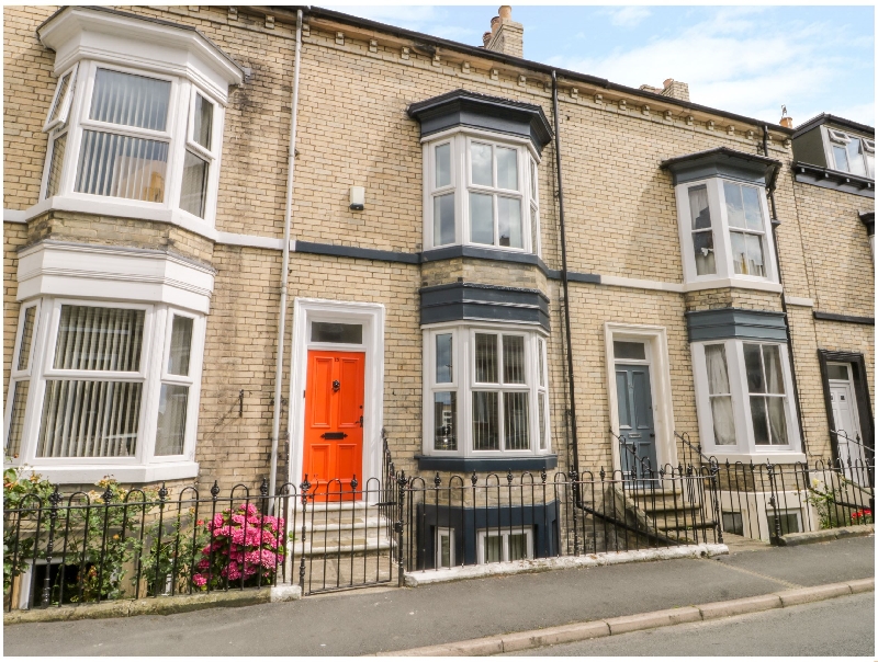 Click here for more about Salty Fox