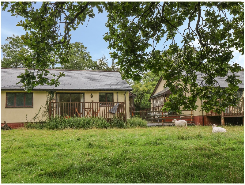 Click here for more about Woodpecker