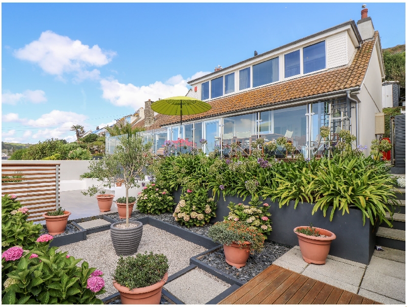 Click here for more about Rock Rose