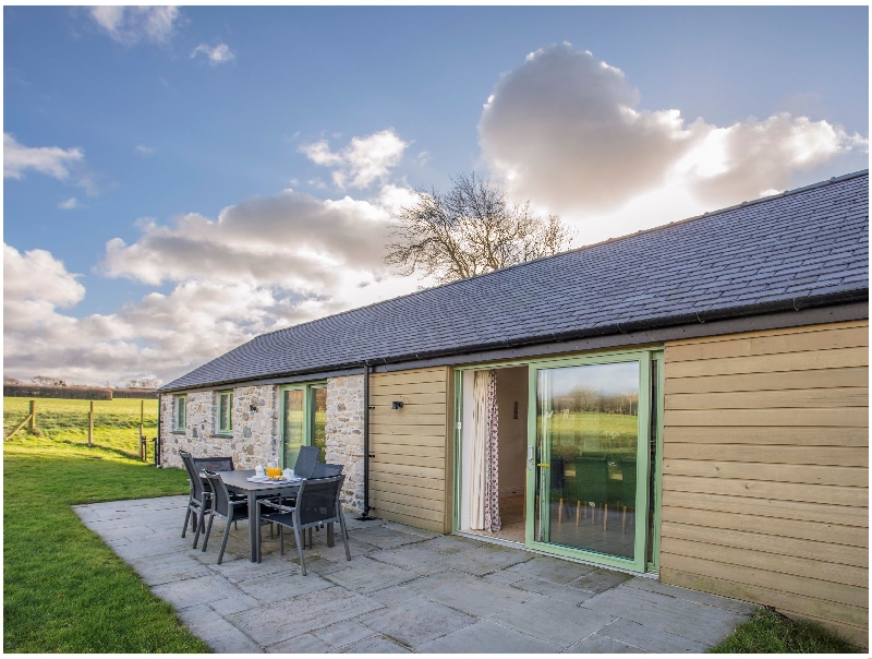 Click here for more about Mynydd Parys