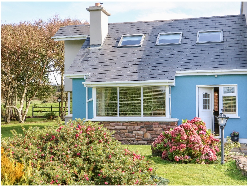 Click here for more about The Blue Annex