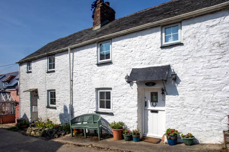 Click here for more about Honeysuckle